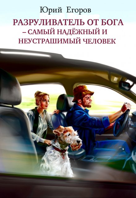 Книга. "Разруливатель от Бога–самый надёжный и неустрашимый человек" читать онлайн