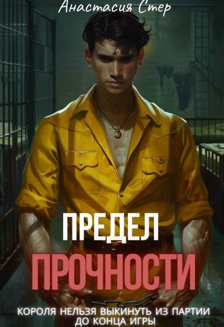 Книга. "Предел прочности" читать онлайн