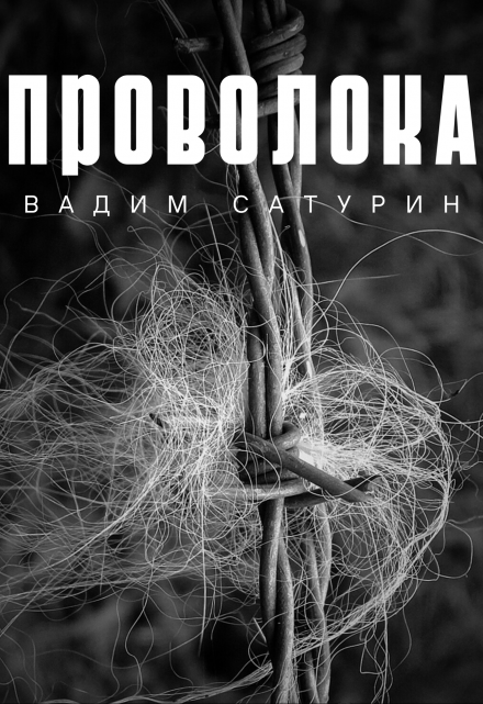 Книга. "Проволока" читать онлайн