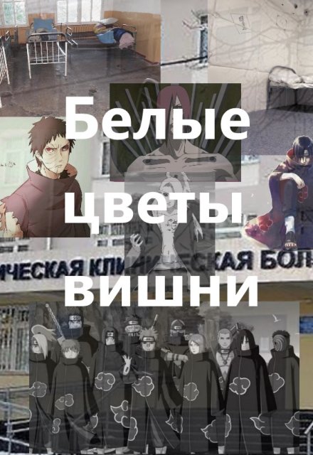 Книга. "Белые цветы вишни" читать онлайн