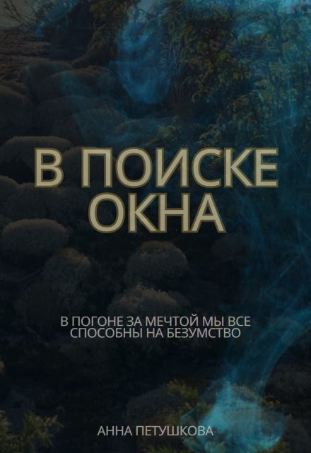 Книга. "В поиске окна" читать онлайн