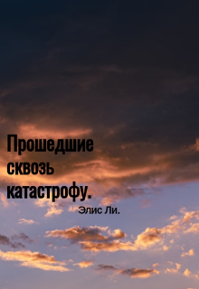 Книга. "Прошедшие сквозь катастрофу." читать онлайн