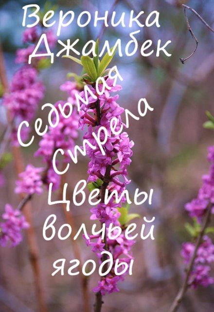 Книга. "Седьмая стрела" читать онлайн