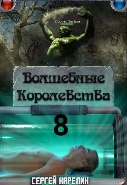 Книга. "Волшебные Королевства 8" читать онлайн