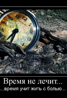 Книга. "Время учит жить.(стихи, и поэмы 2024 года)" читать онлайн