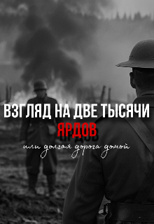 Книга. "Взгляд на две тысячи ярдов, или Долгая дорога домой" читать онлайн