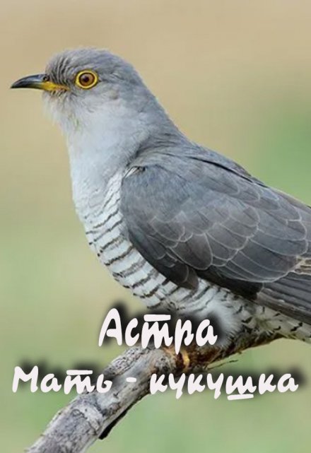 Книга. "мать-кукушка" читать онлайн