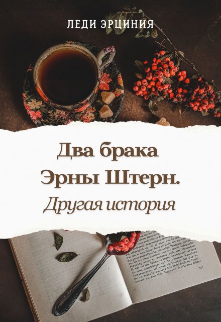 Книга. "Два брака Эрны Штерн. Другая история" читать онлайн