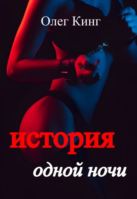 Книга. "История одной ночи" читать онлайн