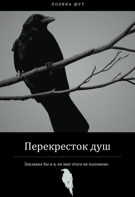 Книга. "Перекресток душ" читать онлайн