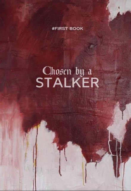 Книга. "Chosen by stalker" читать онлайн