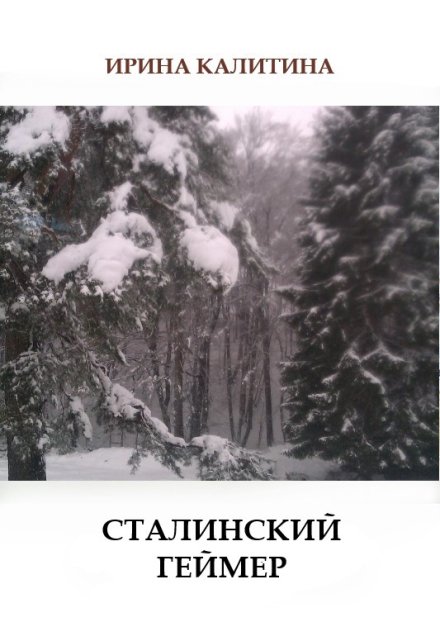 Книга. "Сталинский геймер" читать онлайн