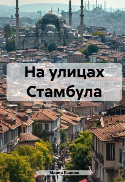 Книга. "На улицах Стамбула" читать онлайн