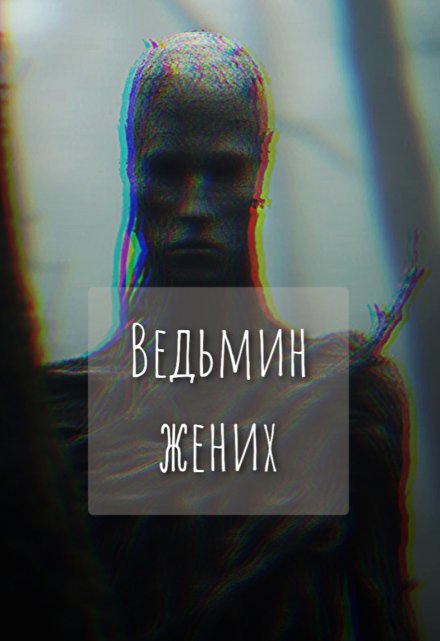 Книга. "Ведьмин жених" читать онлайн