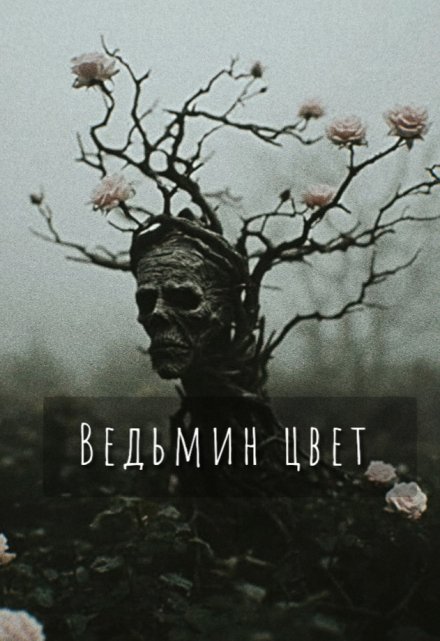 Книга. "Ведьмин цвет" читать онлайн