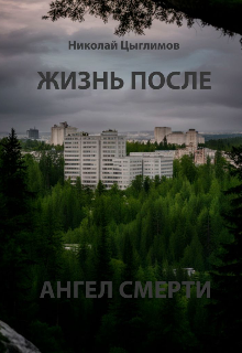 Книга. "Жизнь после. Ангел смерти " читать онлайн