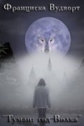 Обложка книги "Туман: год Волка"