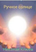 Обложка книги "Ручное солнце"