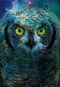 Обложка книги "Глаза совы"