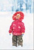 Обложка книги "Первый снег"