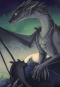 Обложка книги "Драконья скала"
