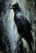 Обложка книги "Ворона"