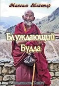 Обложка книги "Блуждающий будда"