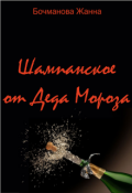 Обложка книги "Шампанское от Деда Мороза"