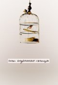 Обложка книги "Эти странные птицы"