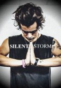 Обложка книги "Silent storm"