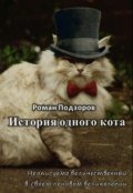 Обложка книги "История одного кота"