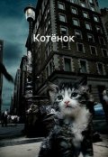 Обложка книги "Котёнок"