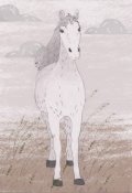 Обложка книги "Лошадь по имени Лошадь"