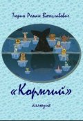 Обложка книги "Кормчий"