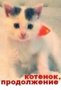 Обложка книги "Котенок. Продолжение"