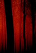 Обложка книги "Кровавый лес"
