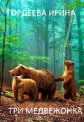 Обложка книги "Три медвежонка"