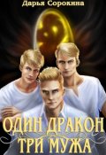 Обложка книги "Один дракон — три мужа"