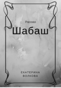 Обложка книги "Шабаш"