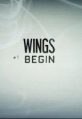 Обложка книги "Wings:begin"