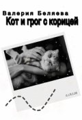Обложка книги "Кот и грог с корицей"