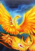 Обложка книги "В пламени жар-птицы"