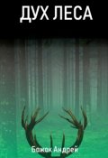 Обложка книги "Дух Леса"