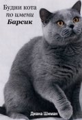Обложка книги "Будни кота по имени Барсик"