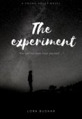 Обложка книги "Эксперимент"