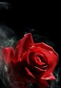 Обложка книги "Алая роза "