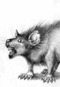 Обложка книги "Крыса "