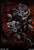 Обложка книги "Чёрная Роза"