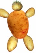 Обложка книги "Письмо о картошке"
