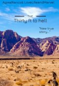 Обложка книги "Thirty ft to hell"